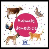 Animale domestice - carti pliate - DPH