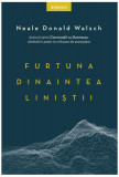 Furtuna dinaintea liniștii - Paperback brosat - Neale Donald Walsch - Litera