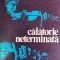 Calatorie neterminata Yehudi Menuhin