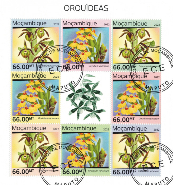 MOZAMBIC 2022 - Flori, orhidee / colita