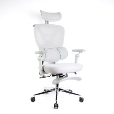 Scaun de birou ergonomic cu brate reglabile, tetiera si suport pentru picioare, gri Best CarHome