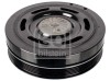 FEBI BILSTEIN 171952 Fulie curea, arbore cotit