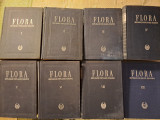 8 Volume Flora RPR