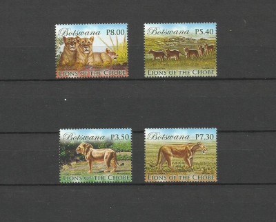 BOTSWANA 2014 FAUNA LEI foto
