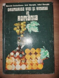 Drumurile viei si vinului in Romania- Gherasim Constantinescu, Aurel Gheorhiu