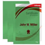 Mapa plastic A4 cristal cu doua deschideri 25/set Esselte verde