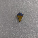 Insigna A S Electromotor timisoara