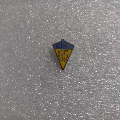 Insigna A S Electromotor timisoara foto