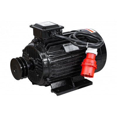 Motor electric 11kW trifazat 380V 400V 2850rpm trifazic (ALC500-3-400V) foto