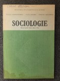 SOCIOLOGIE MANUAL PENTRU CLASA A X-A - Constantinescu, Stoleru