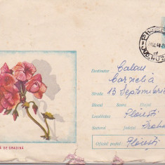 bnk ip Intreg postal 1968 - circulat - Muscata de gradina
