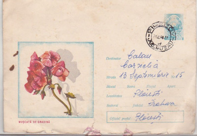 bnk ip Intreg postal 1968 - circulat - Muscata de gradina foto