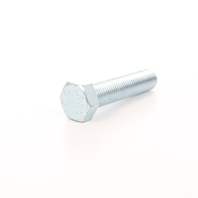 Surub cu cap hexagonal, filetat complet, otel, zincat alb, M20 x 100 mm foto