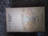 (2.2) Cezar Petrescu - Duminica orbului