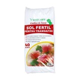 Pamant pentru trandafiri / substrat, Spatii verzi, 40 l, turba si compost