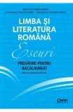 Limba si literatura romana. Eseuri. Pregatire pentru bacalaureat - Monica Cristina Anisie - Editura Corint