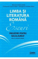 Limba si literatura romana. Eseuri. Pregatire pentru bacalaureat - Monica Cristina Anisie - Corint