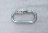 Carabiniera Fall Safe FS802 ovala, Zgarda