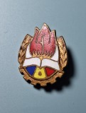 Insigna - Insigna Pionieri, Organizatia Pionierilor RSR, Romania de la 1950