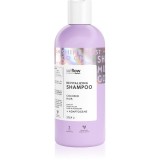 so!flow Coloured Hair Revitalizing Shampoo șampon regenerator pentru păr vopsit 400 ml
