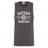 Bayern M&uuml;nchen maiou de bărbați Record grey - M