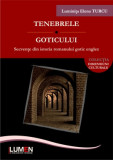 Tenebrele goticului. Secvente din istoria romanului gotic englez - Luminita Elena TURCU