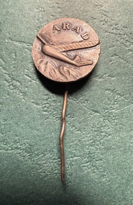 Insigna Aeroclub Arad varianta tip pin foto