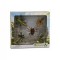 Set 5 figurine Insecte - Collecta