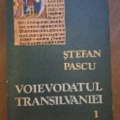Voievodatul Transilvaniei Vol I