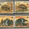 PARAGUAY 1985 WWF ARMADILLO