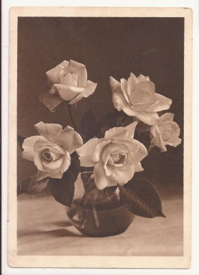 H1 Germania -Carte Postala Al 3 lea Reich. neirculata, stampilat foto