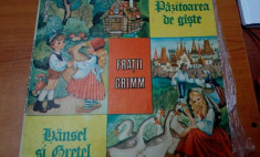 AS - FRATII GRIMM - PAZITOAREA DE GASTE/HANSEL &amp;amp; GRETEL (DISC VINIL, LP) foto