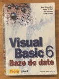 Visual basic 6. Baze de date de Eric Winemiller Teora. Contine CD
