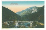 1210 - Baile HERCULANE, Bridge, River Cerna - old postcard - unused - 1924