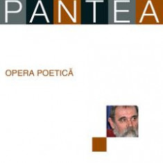 Opera poetica - Aurel Pantea