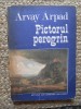 Pictorul peregrin - ARVAY ARPAD