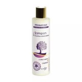 Sampon impotriva caderii parului cu cafea verde si peptide, 250ml, VivaNatura