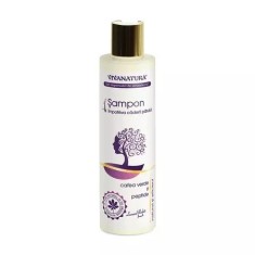 Sampon impotriva caderii parului cu cafea verde si peptide, 250ml, VivaNatura