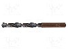 Burghiu pentru metal, 3.9mm, HSS, lungime 75mm, ALPEN-MAYKESTAG, 0062600390100, T225809