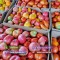 Rasad rosii / tomate | Rasaduri rosii Prekos Inima de bou Ardei Altele 2025