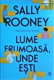 Lume frumoasa, unde esti - Sally Rooney, Curtea Veche, Roman, Beletristica, 394 pagini, 2022, Coperta cartonata