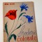Croitorie Nina Doru Broderii colorate