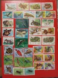 FAUNA - SERII ȘTAMPILATE (3 FOTO)