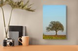 Tablou Canvas Motiv Copac Multicolor Artă Naturală, 26 x 39 cm, CMCLASS
