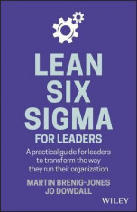 Lean Six SIGMA for Leaders foto