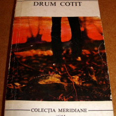 Heimito von Doderer - Drum cotit