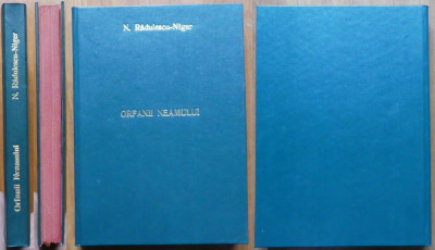 N. Radulescu Niger , Orfanii neamului , roman nationalist , 1913 , editia 1 foto