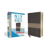 NIV, Thinline Bible, Large Print, Imitation Leather, Brown/Tan, Red Letter Edition