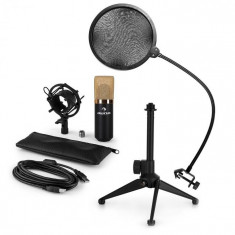 Auna MIC-900BG-LED V2, set de microfon usb, microfon condensator negru-auriu + filtru pop + suport de masa foto