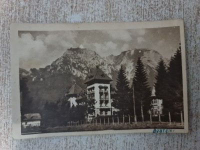 Bușteni - foto